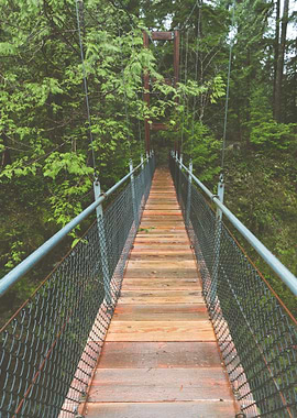 Suspended wooden Bridge