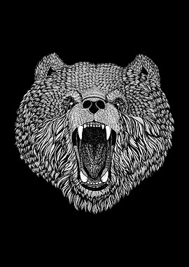ANGRY BEAR DRAWING