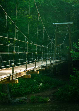 Suspended wooden Bridge