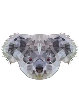 Koala poly