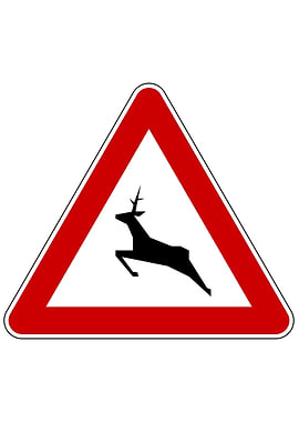 Serbian Road Sign