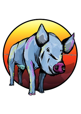 Colorful Pig