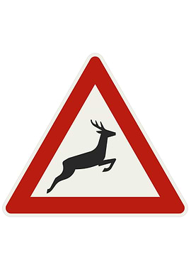 Slovakian Road Sign