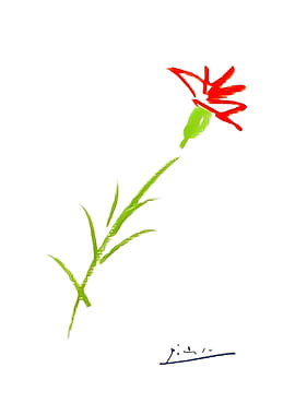Pablo Picasso Flower
