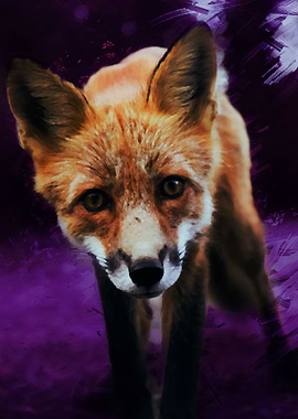 Painted Fox