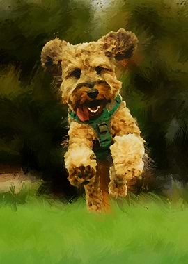 Adorable Jumping Puppy