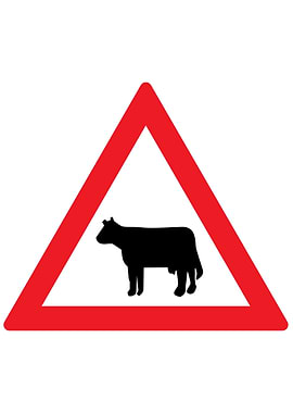 Romanian Road Sign