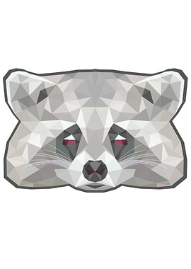 Raccoon poly