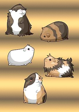 Cute Guinea Pigs Gold