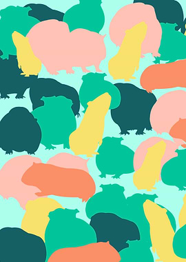 Guinea Pig Pattern Color