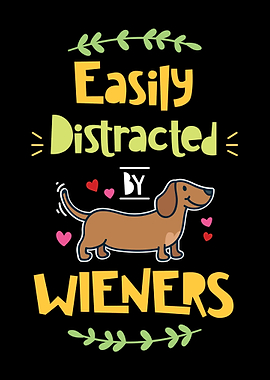 Dachshund Easily Distract