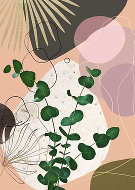 Eucalyptus Fan Palm 5