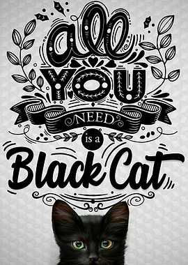 Black Cat in White