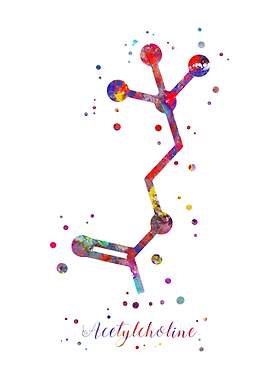 Acetylcholine molecule