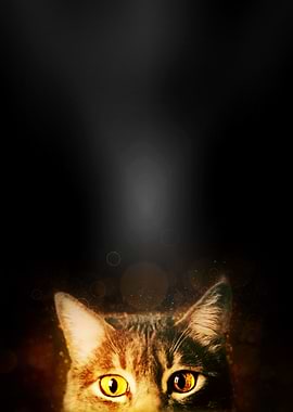 Searching for a warm spot