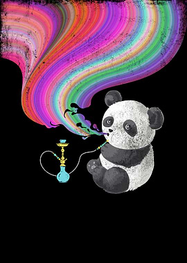 Bear smoke Shisha I vape