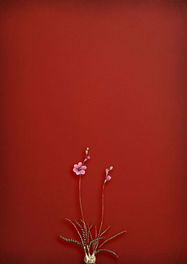 Vintage Lily Flower On Red