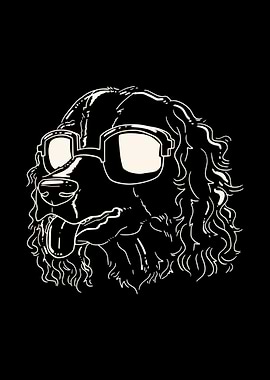 English Springer Spaniel D