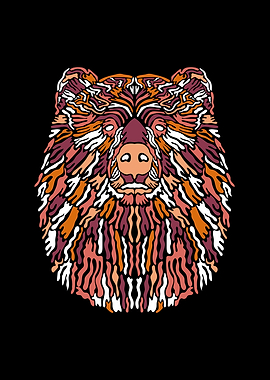 Bear Illustration