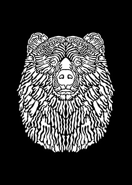 Bear Illustration