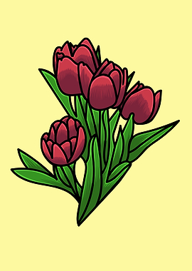 Tulip Flower Illustration