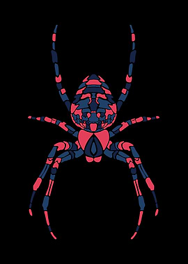 Spider Illustration