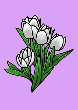 Tulip Flower Illustration