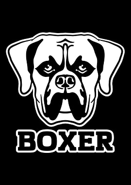 Boxer