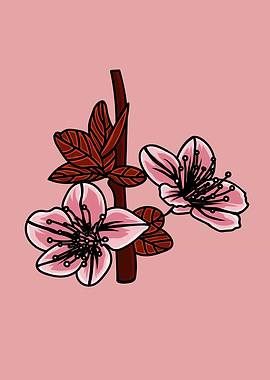 Sakura Flower Illustration