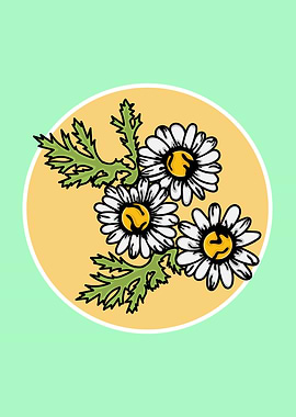 Sun Flower Illustration