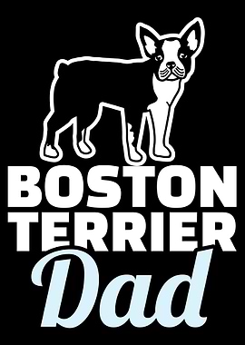 Boston Terrier