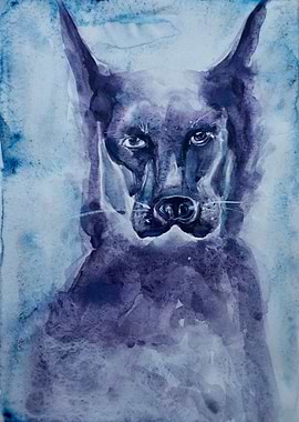 Blue Dog watercolour