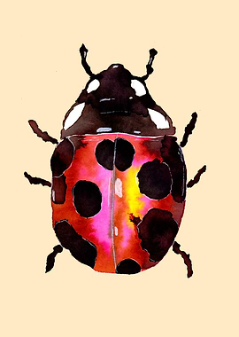 Watercolor Ladybug