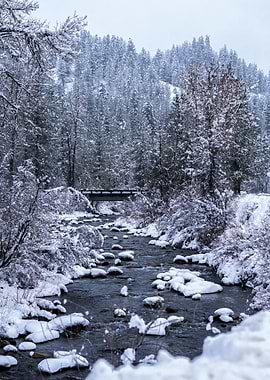 Bridge between the Seasons