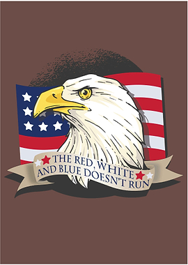American Bald Eagle USA