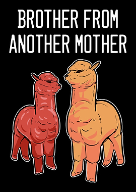 Alpaca Brother Big Or Baby