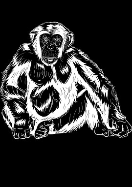 Monkey Motif