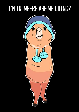 Alpaca Ready Outgoing Pers