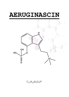 Aeruginascin