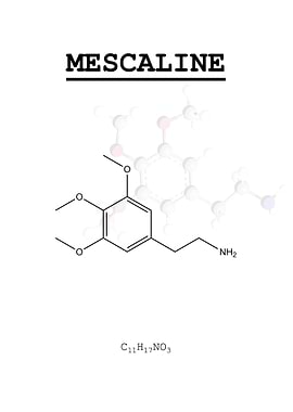 Mescaline