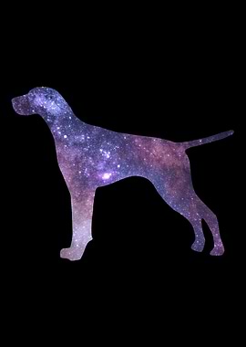 German Shorthair Pointer