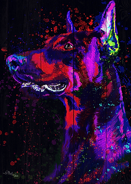 Doberman