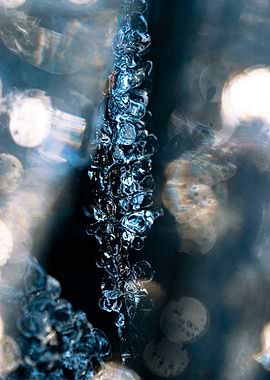 Macro Frozen Landscape 04