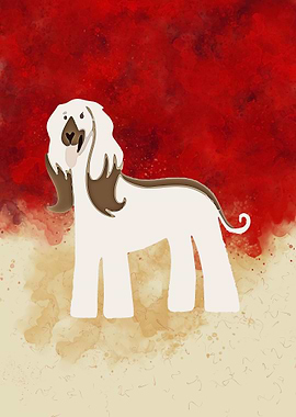 Afghan Hound