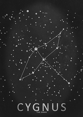 Cygnus Constellation