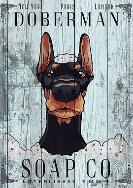 Doberman