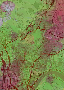 Cincinnati Street Map
