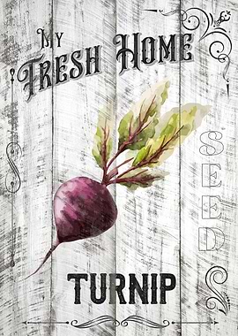 Turnip