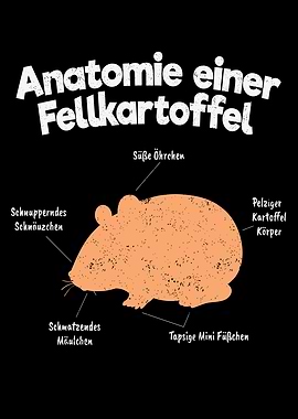 Anatomy Of A Guinea Pig