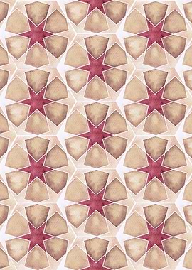 Floral Geometric Pattern09